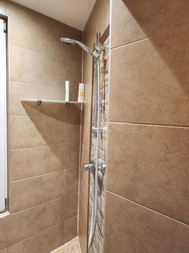 a shower with a glass door in a bathroom at The Small Nest in Vienna