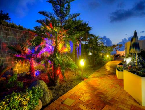Un jardín fuera de Panorama Hotel