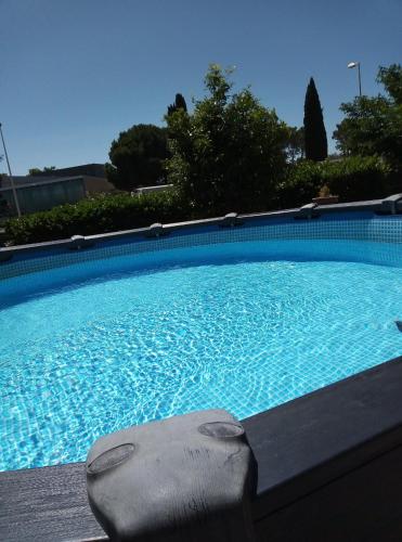 - une piscine avec un dauphin dans l'eau dans l'établissement Villa Lunel 250 m2 -axe Montpellier-Grande Motte, à Lunel