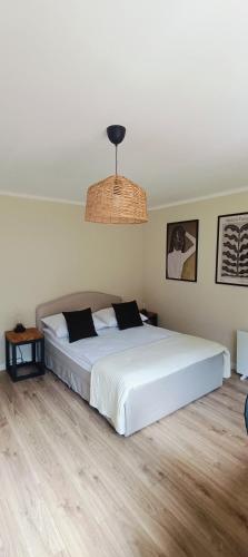 Leśne Szlaki AP Apartment's