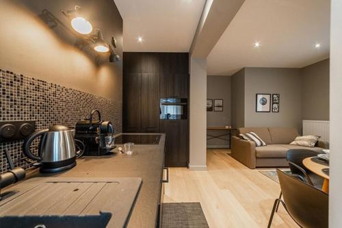 une cuisine et un salon avec un canapé dans l'établissement Appart standing Belval plein centre 4 parking, à Aix-les-Bains