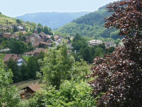 a town in a valley with trees and mountains at Schnurrenhof in Seebach