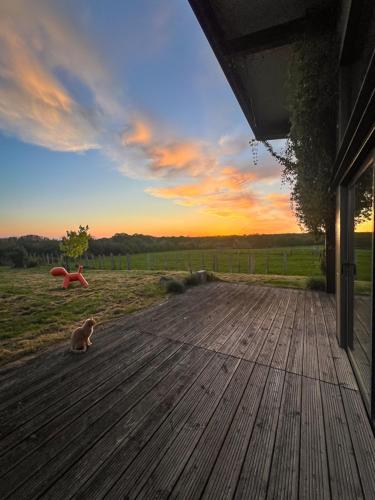 un chat assis sur le pont d'une maison dans l'établissement Maison d'architecte à Semblançay, à Semblançay