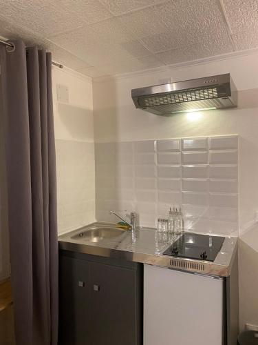 une petite cuisine avec évier et lave-vaisselle dans l'établissement Studio near train station, à Poitiers
