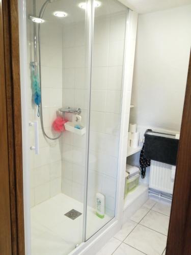 une douche avec une porte vitrée dans une salle de bain dans l'établissement Gîte Petit gouffre d'amour, à Padirac