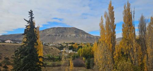 a mountain in the distance with trees in the foreground at Terminal Suites El Calafate in El Calafate