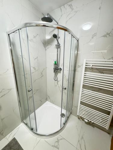 a shower with a glass door in a bathroom at Riverside Apartment Praha in Prague