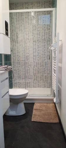 La salle de bains est pourvue de toilettes, d'une douche et d'une fenêtre. dans l'établissement appartement centre ville, à Avranches