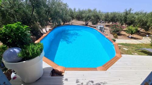 a swimming pool with a pot of plants next to it at Hydra Bay Seaside Villa with Pool in Thermisia