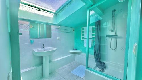 une salle de bain avec un lavabo et une douche en verre dans l'établissement VILLA située à 7 minutes du centre-ville de Porto-vecchio, à Porto-Vecchio
