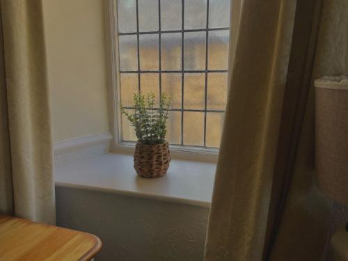 a plant in a vase sitting on a window sill at The Sibson Inn Hotel in Water Newton