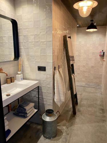 a bathroom with a sink and a mirror at Hidden Gem in Oost-Knollendam