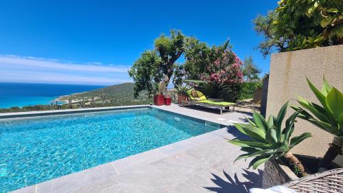 une piscine avec vue sur l'océan dans l'établissement Palmier, à Corbara