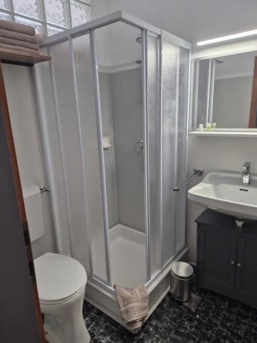 a bathroom with a shower and a toilet and a sink at Haus Zedlacher in Patergassen