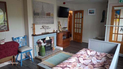 a living room with a bed and a fireplace at Artisthostel Letterkenny in Letterkenny
