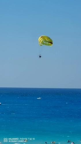 السلام والمحبة