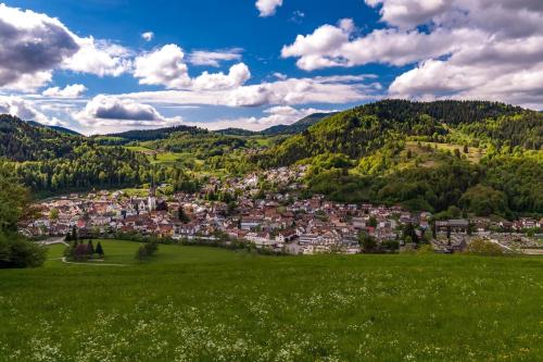 Naturlandschaft in der Nähe der Ferienwohnung