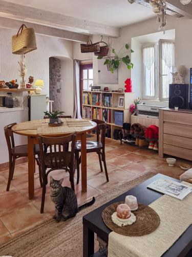 un chat assis à côté d'une table dans un salon dans l'établissement Chez Camille & Olivier, chambres, à Esparron-de-Verdon