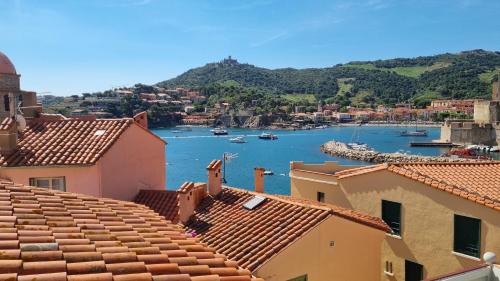 Les Toits de Collioure