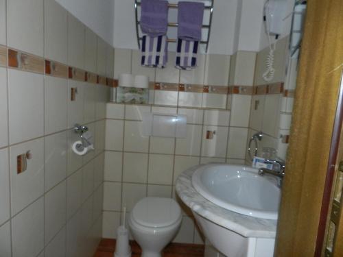 ein Bad mit einem Waschbecken und einem WC in der Unterkunft Hotel Dachsberger-Hof in Wittenschwand