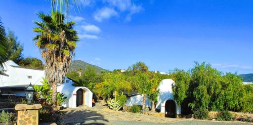 a white house with a palm tree in front of it at Hacienda Eco-Domes in Valle de Guadalupe