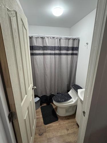 a small bathroom with a toilet and a shower at Departamento Mackay in Coihaique