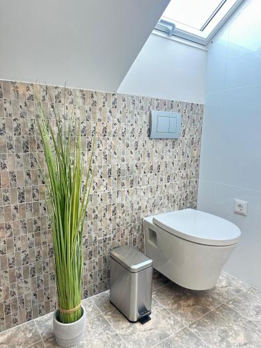 a bathroom with a toilet and a potted plant at Duna-Part Deluxe in Vác