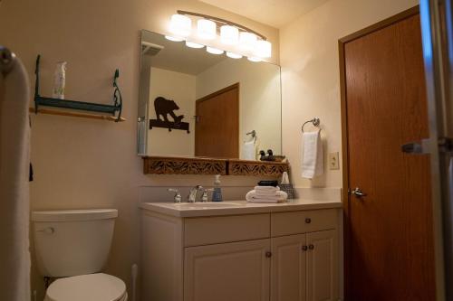 a bathroom with a toilet and a sink and a mirror at Hideaway Riverfront Cabin in Kernville with Universal EV Charger in Kernville