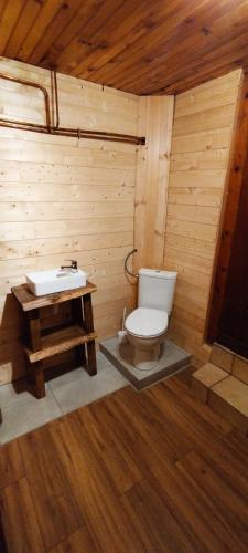 une salle de bain avec toilettes et lavabo dans l'établissement Maison de montagne vue magnifique, à Ventron
