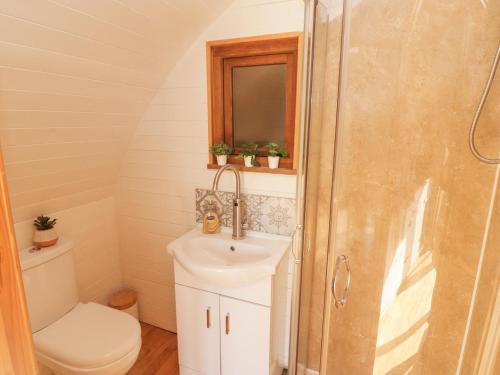 a bathroom with a sink and a toilet and a mirror at Cabanau Bach in Caerphilly