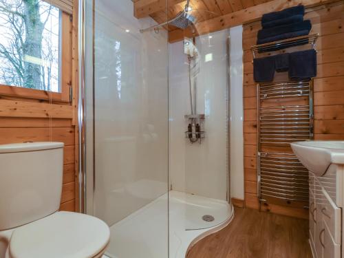 a bathroom with a shower and a toilet and a sink at Woodpeckers in Cullompton