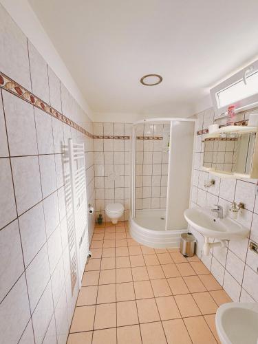 a bathroom with a shower and a sink and a toilet at Ubytování v Brně - Schodová in Brno