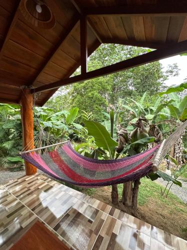 a hammock on a porch with plants at Arenal Rústic Lodge in Fortuna