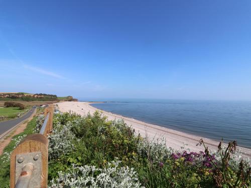 a view of a beach with a road and flowers at Robyn Cottage in Budleigh Salterton