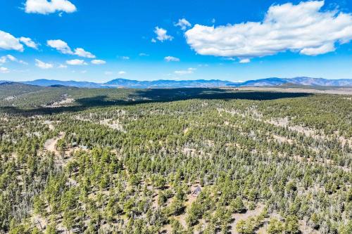 an aerial view of a forest with mountains in the background at Slope Summit Rustic A-Frame Cabin w Scenic Views in Divide