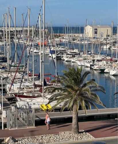 Joli appartement vue sur le Port de Canet