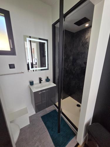 une salle de bain avec douche et lavabo dans l'établissement La P'tite Créole, à Auzon