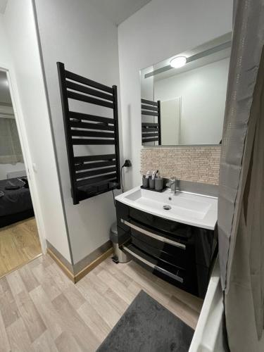 une salle de bain avec un lavabo et un miroir dans l'établissement Appartement T2 proche Bordeaux, à Saint-Loubès