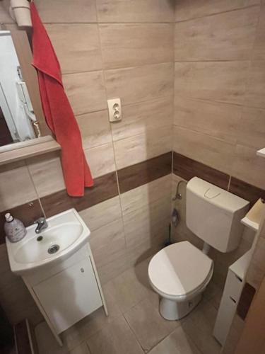 a small bathroom with a toilet and a sink at Downtown apartment with garden in Pécs