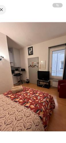 a bedroom with a large bed in a room at Appartement studio au cœur de Strasbourg in Strasbourg