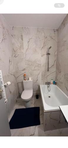 une salle de bain avec toilettes, baignoire et lavabo dans l'établissement Appartement studio au cœur de Strasbourg, à Strasbourg