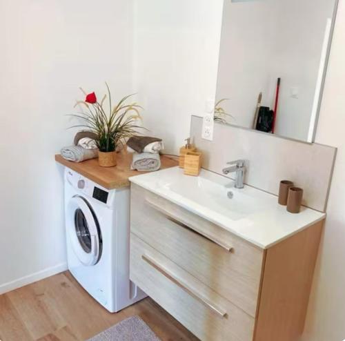 une salle de bain avec un lavabo et une machine à laver dans l'établissement Appartement avec grande terrasse, à Pont-de-Buis
