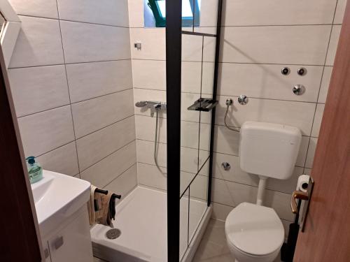 a bathroom with a shower with a toilet and a sink at House Murtelica in Tkon