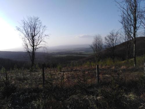 a view of a field with trees on a hill at Chata Pod Kapličkou in Rajnochovice