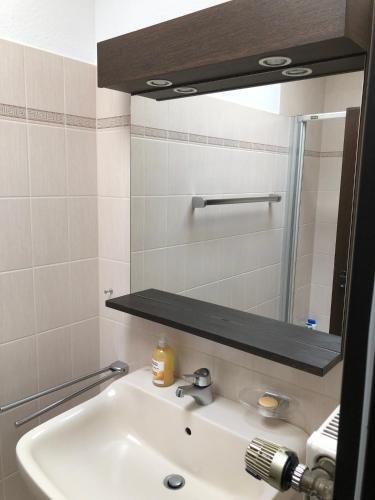 a bathroom with a sink and a mirror at PentArtHouse in Burscheid