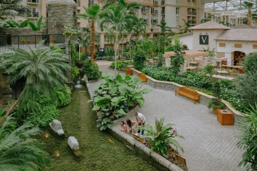 Gaylord Palms Resort & Convention Center photo 23