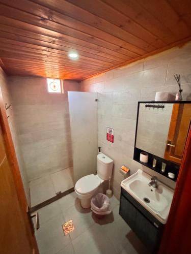 a bathroom with a toilet and a sink at Rum Angel Camp in Wadi Rum