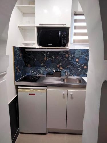 une cuisine avec un évier et un micro-ondes dans l'établissement Nid Douillet, à Neuilly-sur-Marne