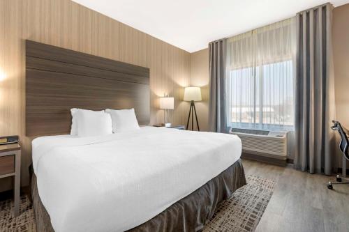 Postel nebo postele na pokoji v ubytování Best Western Plus LaCrescent - LaCrosse