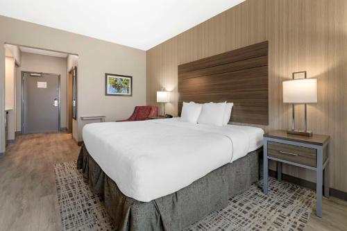 Postel nebo postele na pokoji v ubytování Best Western Plus LaCrescent - LaCrosse